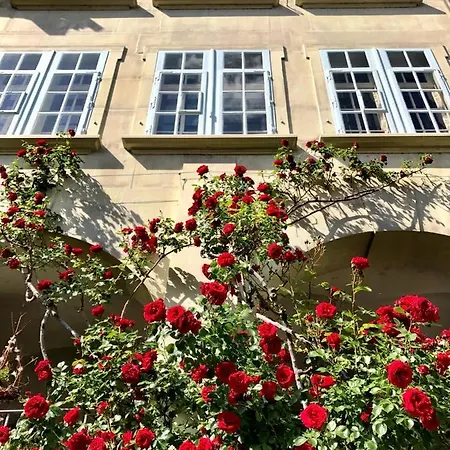 Historical Flat, By Zytglogge - 1st Floor Apartment Bern