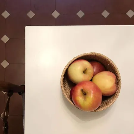 Old Town Gem Comfy Queen Bed & Fast Wifi Bern