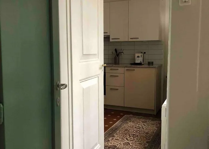 Old Town Gem Comfy Queen Bed & Fast Wifi 公寓 伯尔尼