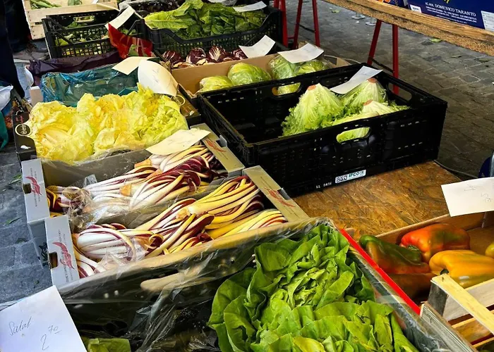 Old Town Gem Comfy Queen Bed & Fast Wifi 公寓 *